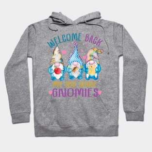 Welcome Back My 3rd Grade Gnomies.. Back to school Cute gift Hoodie